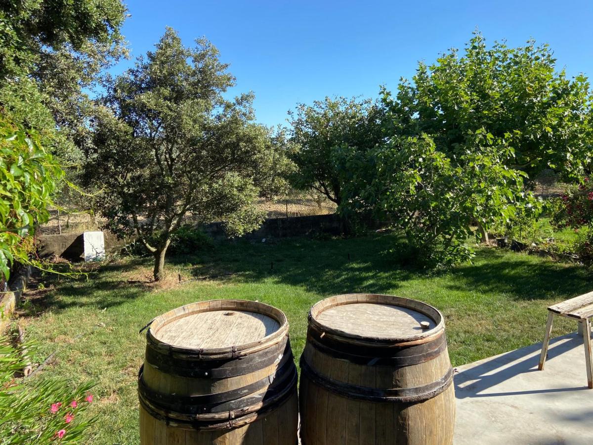 Gite A La Ferme Clansayes Exterior photo